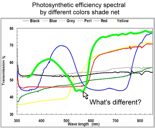 Photosynthetic_Efficiency